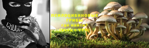 не бодяженный Алексин