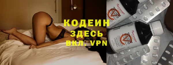 не бодяженный Алексин