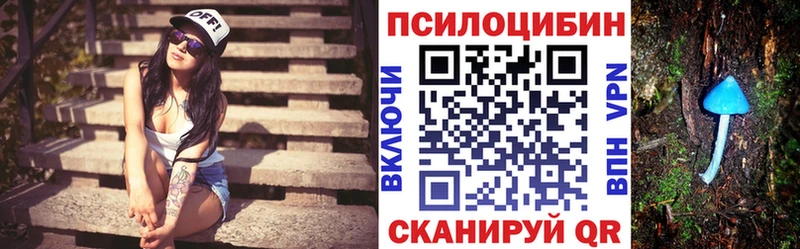 даркнет Telegram  Завитинск  Псилоцибиновые грибы прущие грибы 